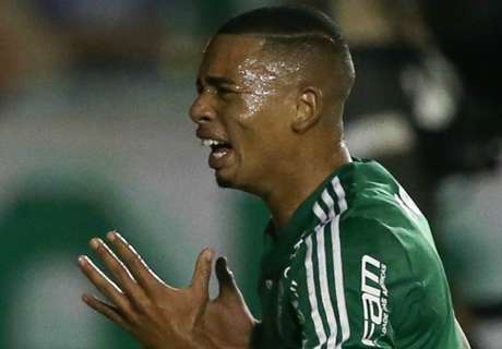 gabriel-jesus-palmeiras-asa-copa-do-brasil-07-10-16_1pxg036ccfz4u1holxfxaxs37d