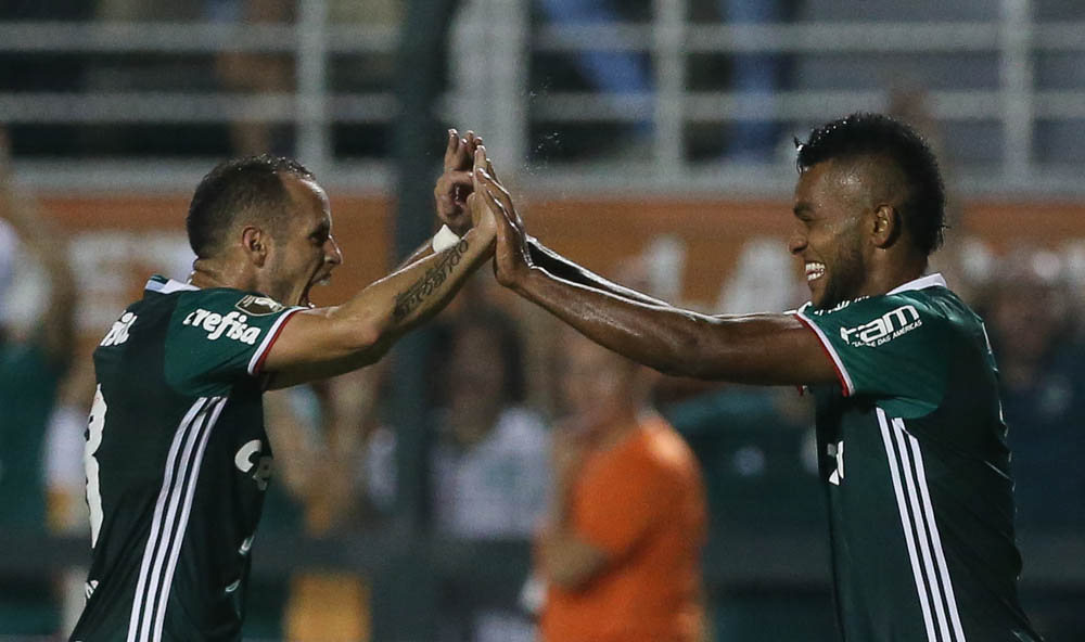 33747116452_76cdbc620f_b