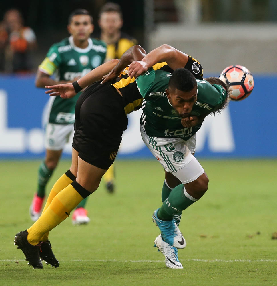 33875543371_452254a53a_o