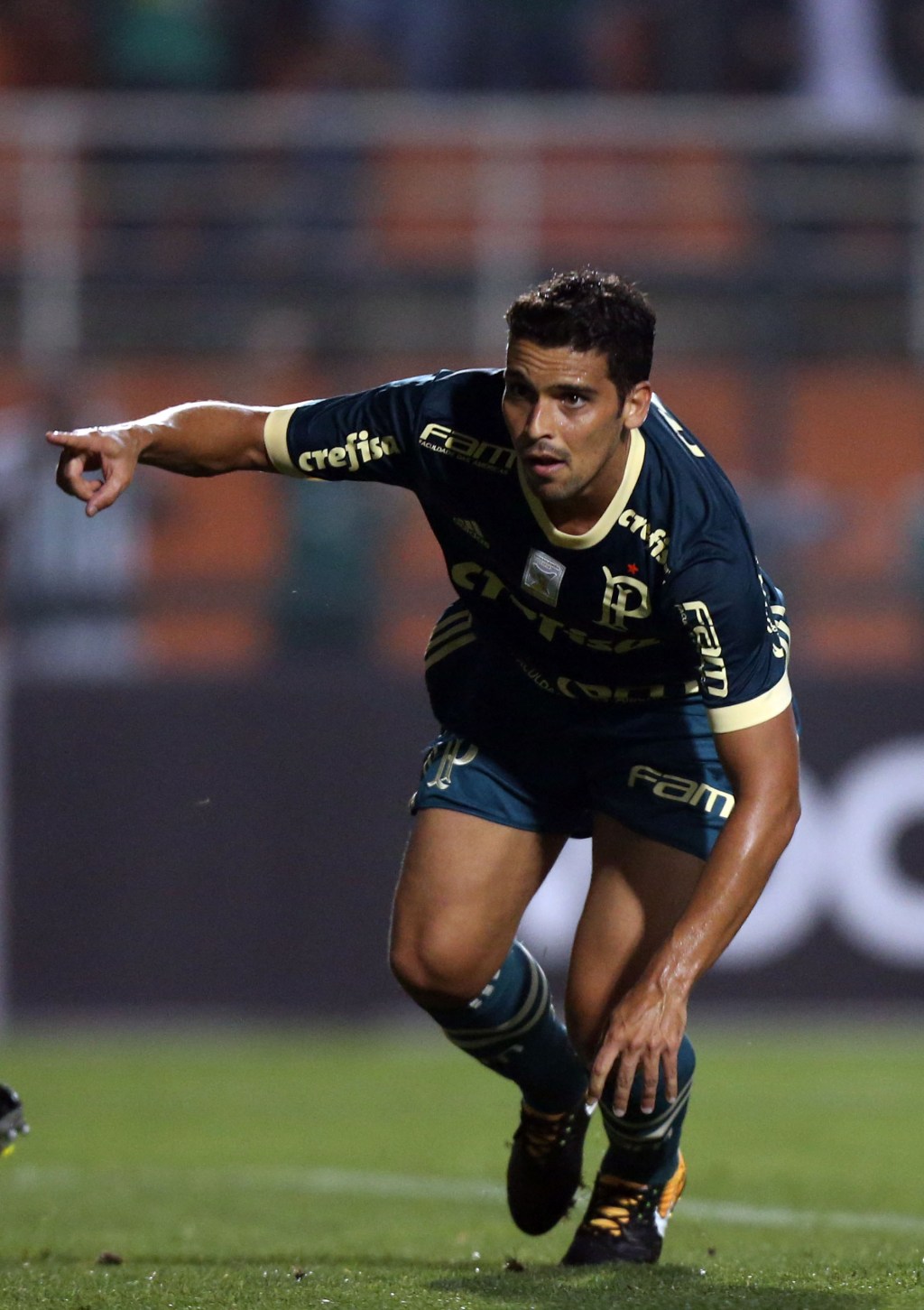 Palmeiras ainda se&nbsp;ilude