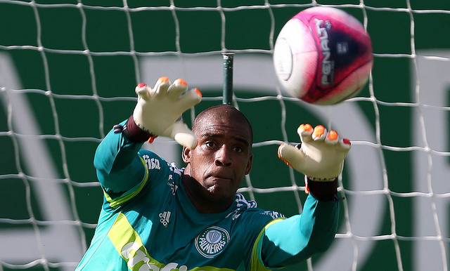 25536650797_932675ebf1_z