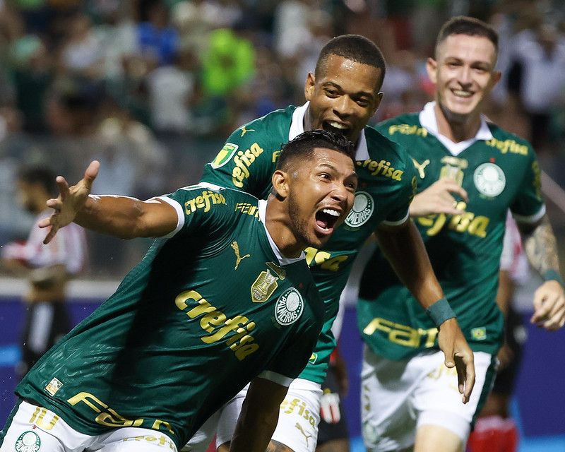 Palmeiras incomoda Botafogo, São Paulo&nbsp;…