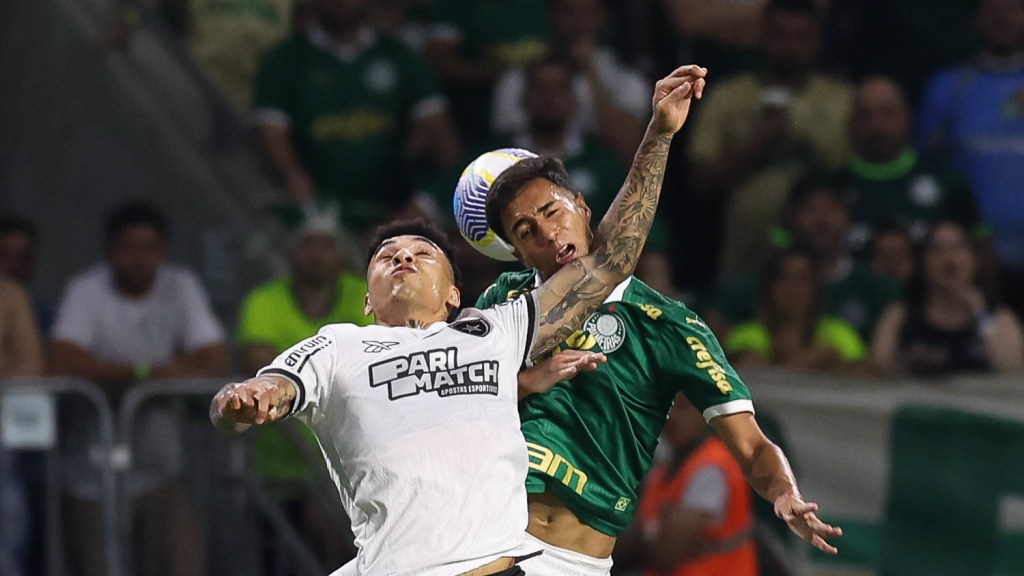 Botafogo Vence Palmeiras e Escancara Diferença de Jogadores&nbsp;Decisivos