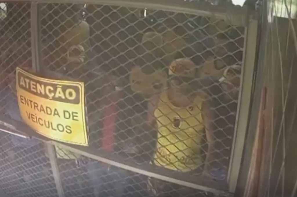 Violência no Futebol | “Vamos Atormentar. Todos Aqui Têm Antecedentes Criminais”